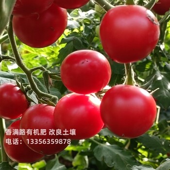 商丘睢陽有機肥一畝地用多少