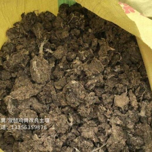 林州磁縣武涉稻殼雞糞菜農(nóng)知道