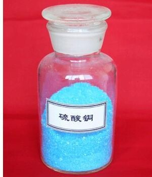 藍(lán)礬硫酸銅的行情