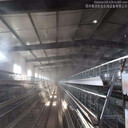 彭水養(yǎng)殖場車輛消毒通道智能噴淋除臭批發(fā)價格
