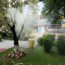 安順小區(qū)人行道霧景景觀造霧系統(tǒng)