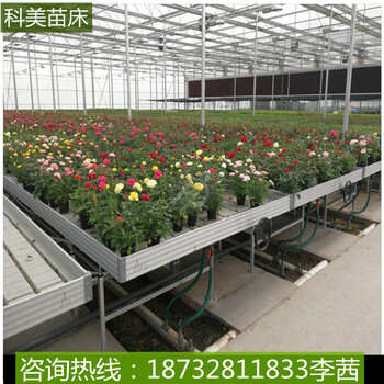 溫室花卉育苗半自動(dòng)苗床熱鍍鋅網(wǎng)片航迪移動(dòng)苗床生產(chǎn)廠家