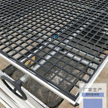 育秧苗塑料苗床網(wǎng)片移動苗床廠家