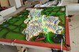 沙盤模型—廠家定制