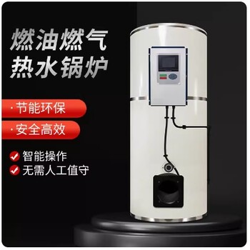 天然氣蒸汽鍋爐蒸汽發生器
