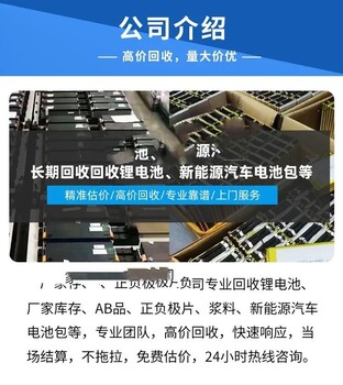 東莞全新電動(dòng)汽車電池UPS儲(chǔ)能蓄電池回收公司