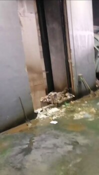 珠海斗門區國產化妝品銷毀/焚燒報廢公司