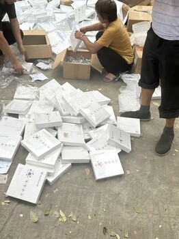 广东不合格侵权玩具销毁/提供全程报废视频