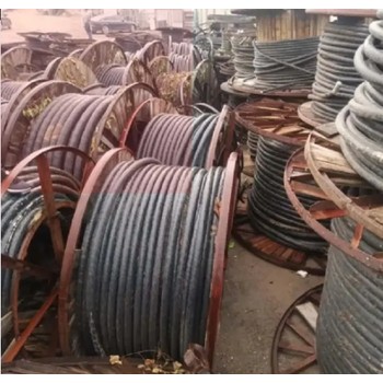 南沙區(qū)電纜母線回收廠家/提供免費評估