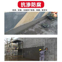 蘭州雙組分環(huán)氧膠泥多少錢