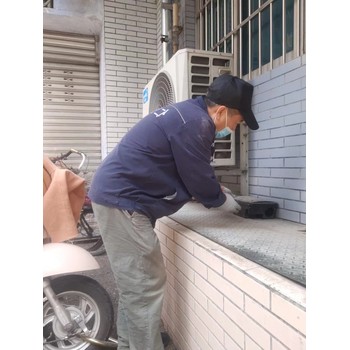 成都滅鼠公司上門價格上門服務