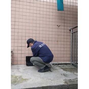 武侯區(qū)滅鼠公司哪家好資質(zhì)