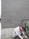 青羊區(qū)捕鼠公司電話