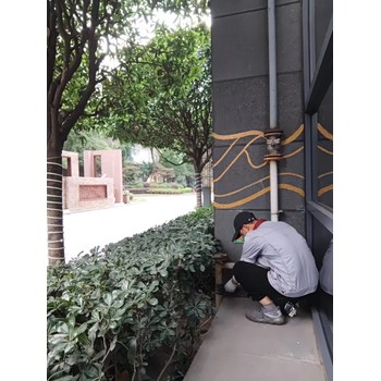成都捕鼠收費