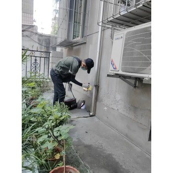成都滅鼠公司上門價(jià)格經(jīng)驗(yàn)豐富