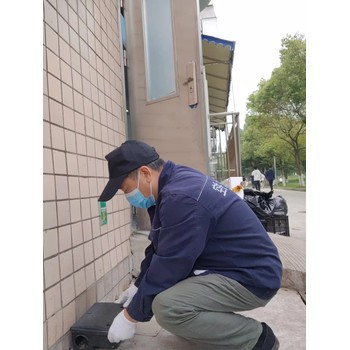 成都白蟻研究所收費