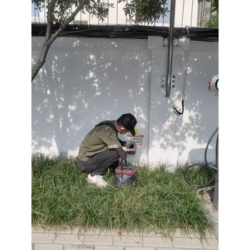 成都捕老鼠排名