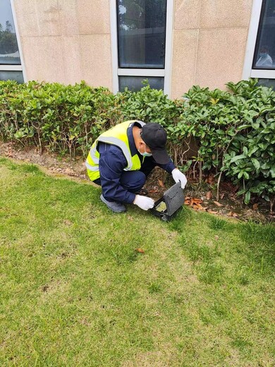 锦江区灭鼠技术精进