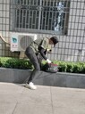金牛區(qū)捉老鼠團(tuán)隊(duì)團(tuán)隊(duì)