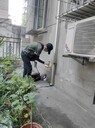 武侯區(qū)店鋪除白蟻費用