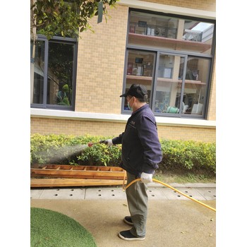 金牛區捕老鼠生物防治經驗豐富