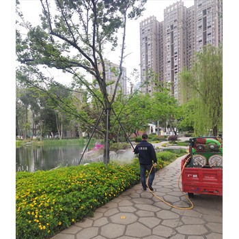 武侯區(qū)廠房滅白蟻排名