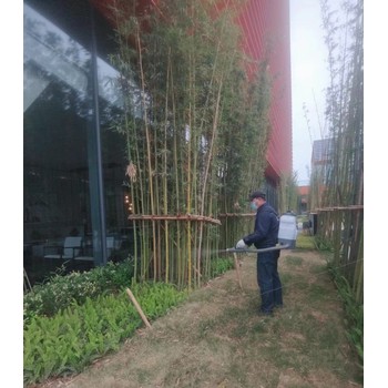 武侯區(qū)殺老鼠怎么收費(fèi)團(tuán)隊(duì)