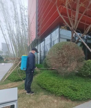 成都捕老鼠排名