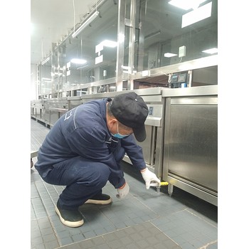 成都捕鼠報價