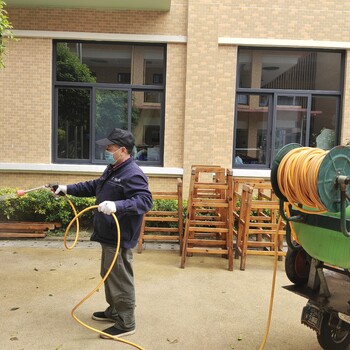 成都餐饮除白蚁价格