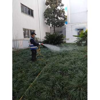 成都滅蟑螂上門費用