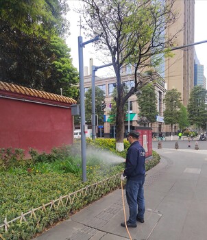 成都捕鼠收費