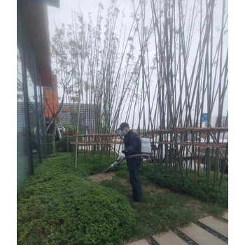 成都捕老鼠排名