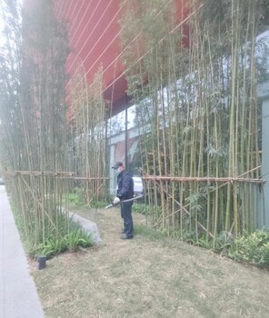 金牛區(qū)逮老鼠機(jī)構(gòu)團(tuán)隊