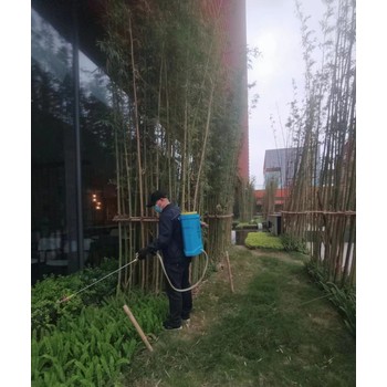 成都廠房滅白蟻費用