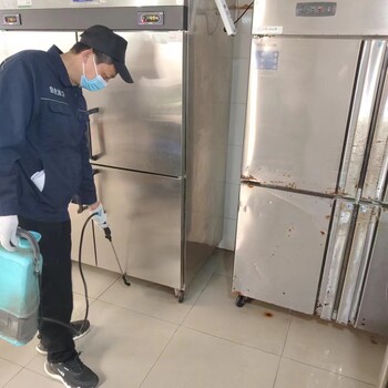 金牛區捕老鼠團隊經驗豐富
