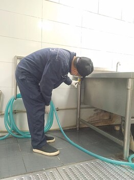 成都捕鼠加盟