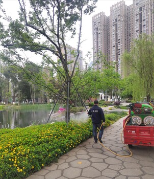 成都防治白蟻報價