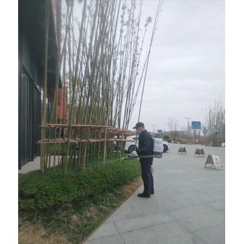 金牛區滅鼠公司哪里有團隊
