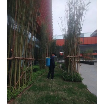 金牛區滅鼠公司哪里有團隊