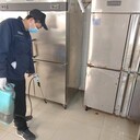 成都飯店除蟲排名
