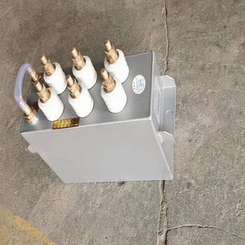 廠家供應(yīng)RFM0.75-1000-8S電熱電容器