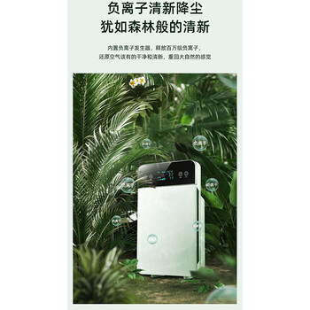負(fù)離子家用空氣凈化器吸毛寵物除甲醛去異味煙昧