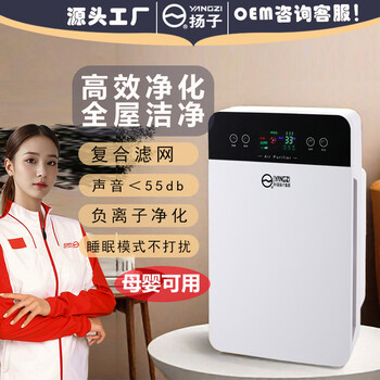 揚子負(fù)離子空氣凈化器家用室內(nèi)除甲醛除煙會銷禮品批發(fā)廠家電器