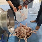 真空滚揉机酱菜类腌渍滚揉机肉类腌制滚揉机