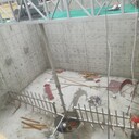 高密池中心傳動濃縮機濃縮池懸掛式沉淀池刮泥機