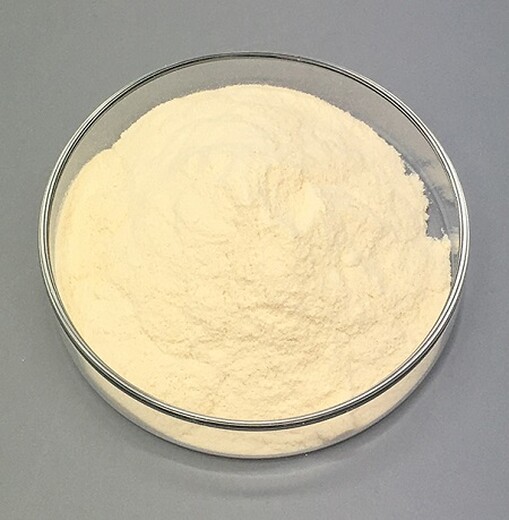 乳品工業(yè)酶制劑β-D-半乳糖苷酶廠家有哪些，使乳糖轉(zhuǎn)變?yōu)閱翁?>
                </div>
                <div   class=