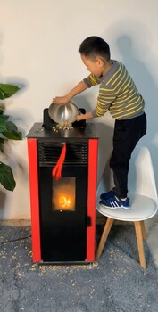 延安生物顆粒廠家