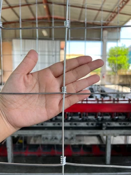 廠家銷售熱鍍鋅鋼絲牛欄網(wǎng)草原網(wǎng)圈牛羊鐵絲網(wǎng)山地養(yǎng)殖護(hù)欄網(wǎng)