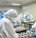 加拿大食品廠招江西撫州貨運司機設備維修電工肉類分割工包裝工